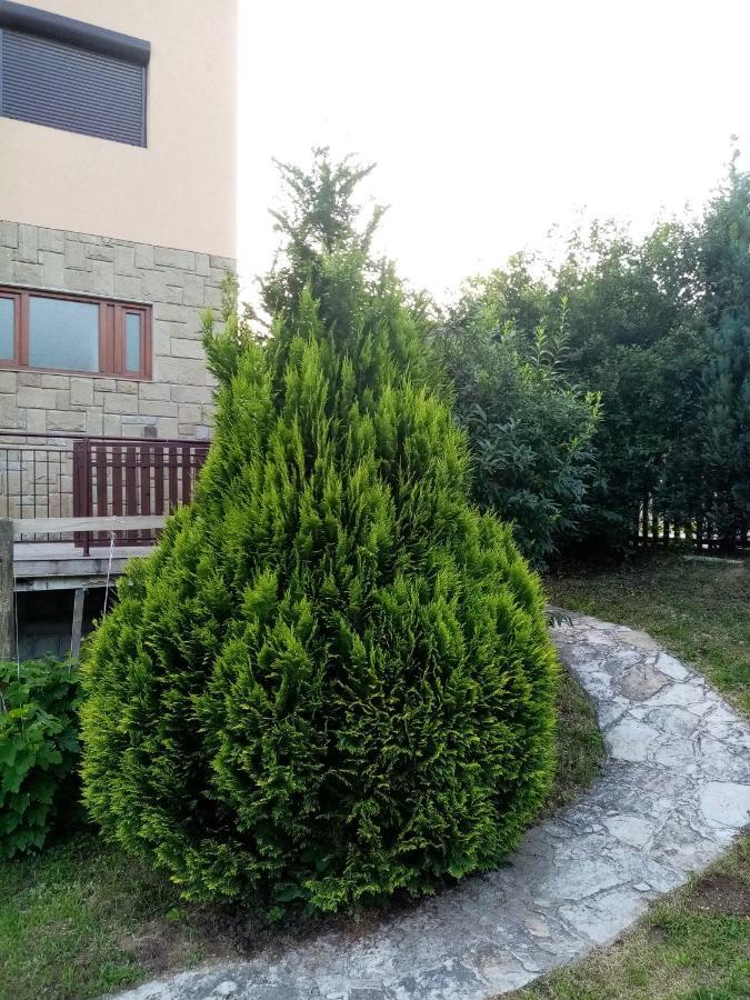 Guesthouse Smiljanic Slavkovica Exterior foto