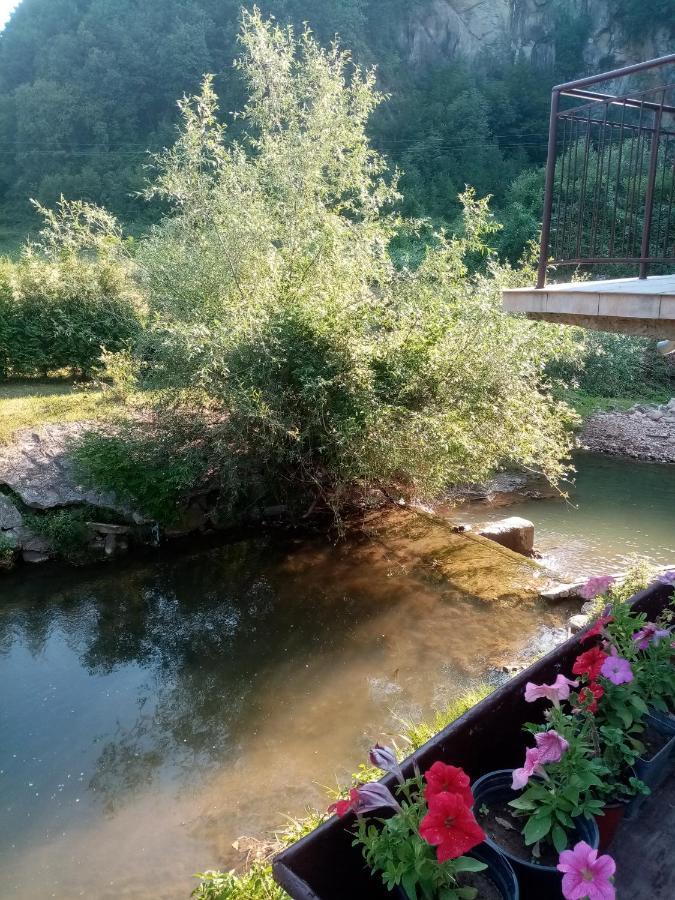 Guesthouse Smiljanic Slavkovica Exterior foto