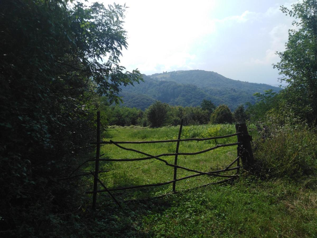 Guesthouse Smiljanic Slavkovica Exterior foto